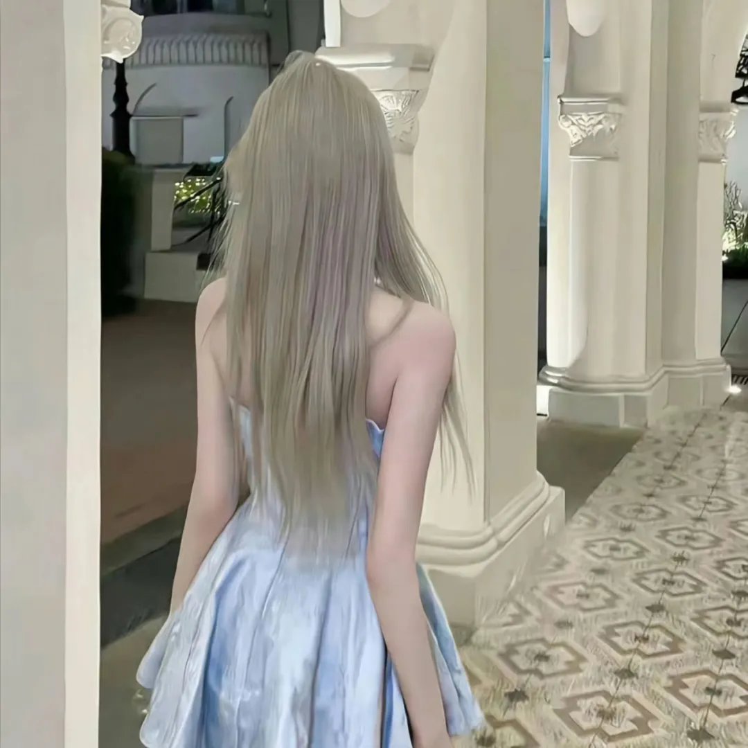燕子盗