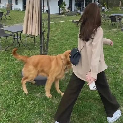 监狱风云录2