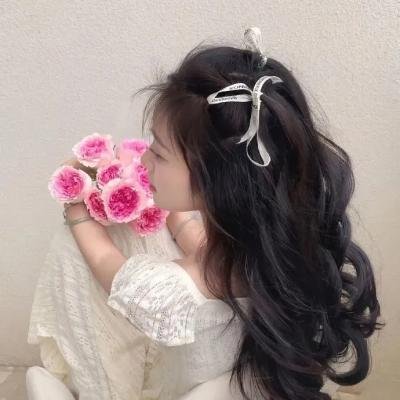 秋田犬蓬夫